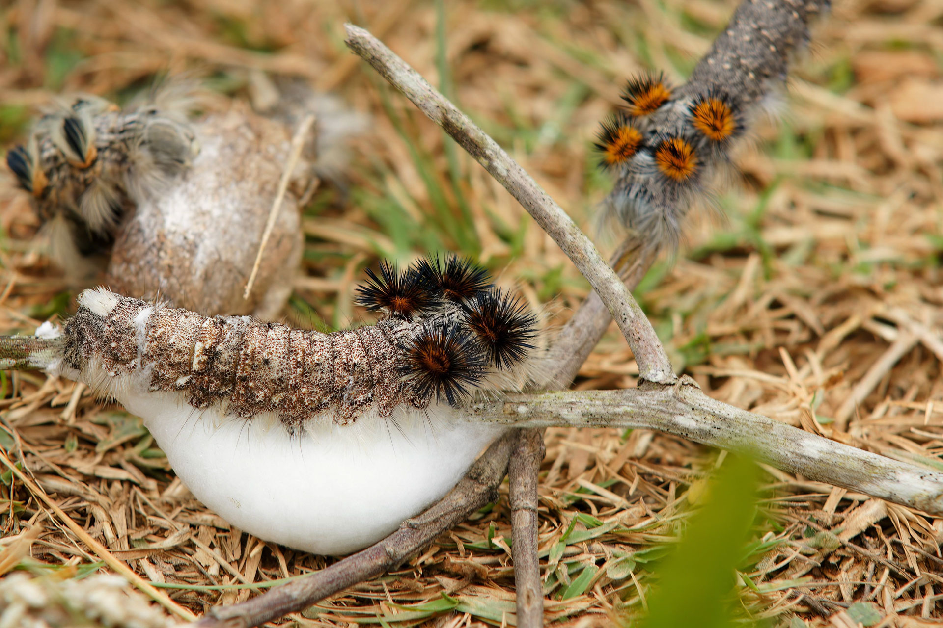 Wanderung in der Umgebung von Ambositra